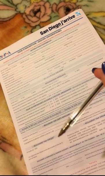 Cette image a un attribut alt vide ; le nom du fichier est 67812040_1384330911691414_6672091145826205696_n.jpg